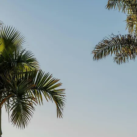 Villa Anna Pool Gym Cinema Pool 7 Bedrooms *