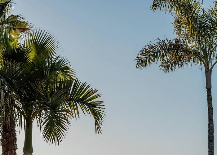 Willa Anna Pool Gym Cinema Pool 7 Bedrooms *